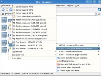 KIM 0.9.5