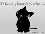 Этот черный котенок пытается словить курсор твоей мышки