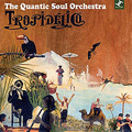 The Quantic Soul Orchestra - Tropidelico