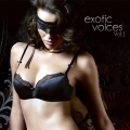 Сборник - Exotic Voices Vol.1