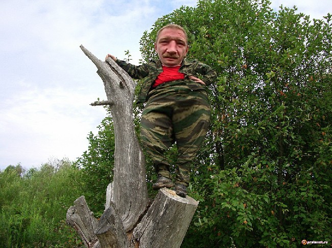Открыть в полноэкранный режим